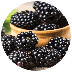 Blackberrry Extract